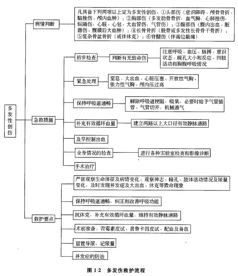 多发伤救护程序